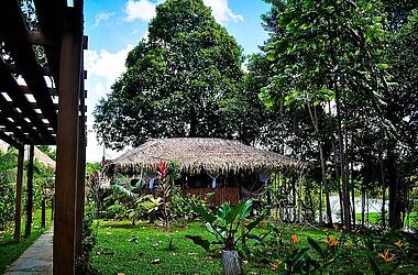 Hölzerner, palmengedeckter Pavillon der Turtle Lodge mit Hängematten