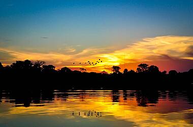 Sonnenuntergang über einem See mit fliegenden Vögeln im brasilianischen Amazonasgebiet