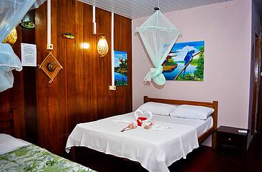 Zimmer der Turtle Lodge mit Moskitonetz über dem Bett und bunten Bilder von Papageien an den Wänden